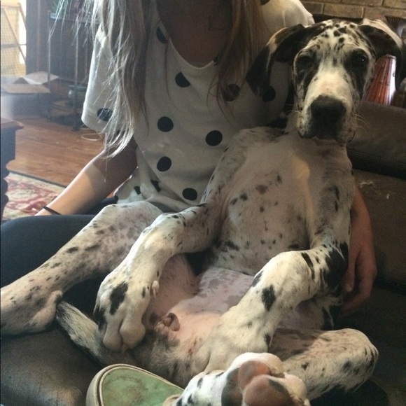 Meet your Posher, Kristen - Picture 3 of 4